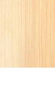 Slab Door